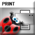Print und Druck